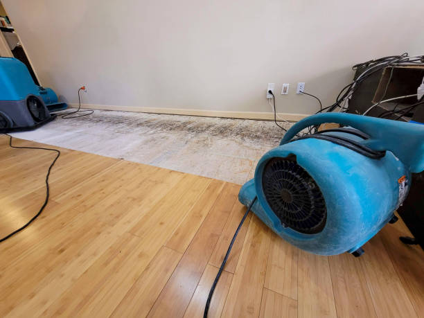 Professional Structural Drying technician working in Delanson, NY